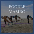Poodle Mambo