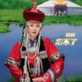 秋枫 - 忘不了