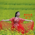 蝶恋花无悔