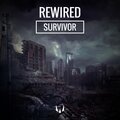 Rewired - Survivor