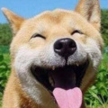 大自然的声音 - 经典笑话段子