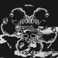 MDM、QUENTIN TARALLINO - Tskill.exe