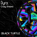 Crazy Dreams