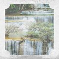 Full Bird Music - Sweeds