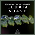 Sonidos de la Naturaleza: Lluvia Suave