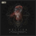 Intelligence、Endeavour - Hectika
