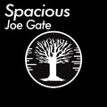 Joe Gate - Spacious