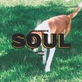 Shamrock - Carry (Explicit)