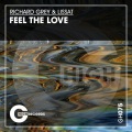 Feel the Love (Original Mix)