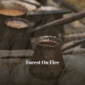 Solar Sky - Forest On Fire