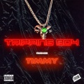 Youngjota、Timmy Tin - Ho Shiet (feat. YoungJota)(Explicit)