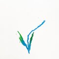 Nelson Devereaux - NEWNESS