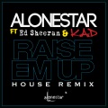 Raise Em Up (HouseRemix)