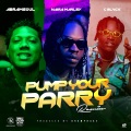 Pump Your Parry (Remix|Explicit)