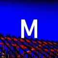 Muralee - Night Lights