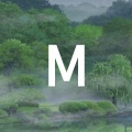 Muralee - Web Socket