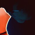 Valkyrie (Explicit)