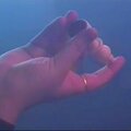 l.ucas、Layzi - Forfeit