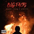 Spoony Souza、Qventxn - Big Facts (Explicit)