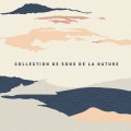 Collection de sons de la nature – Relaxation, méditation, sommeil, étude et yoga