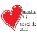 Acoustic Wig - Missed the Point