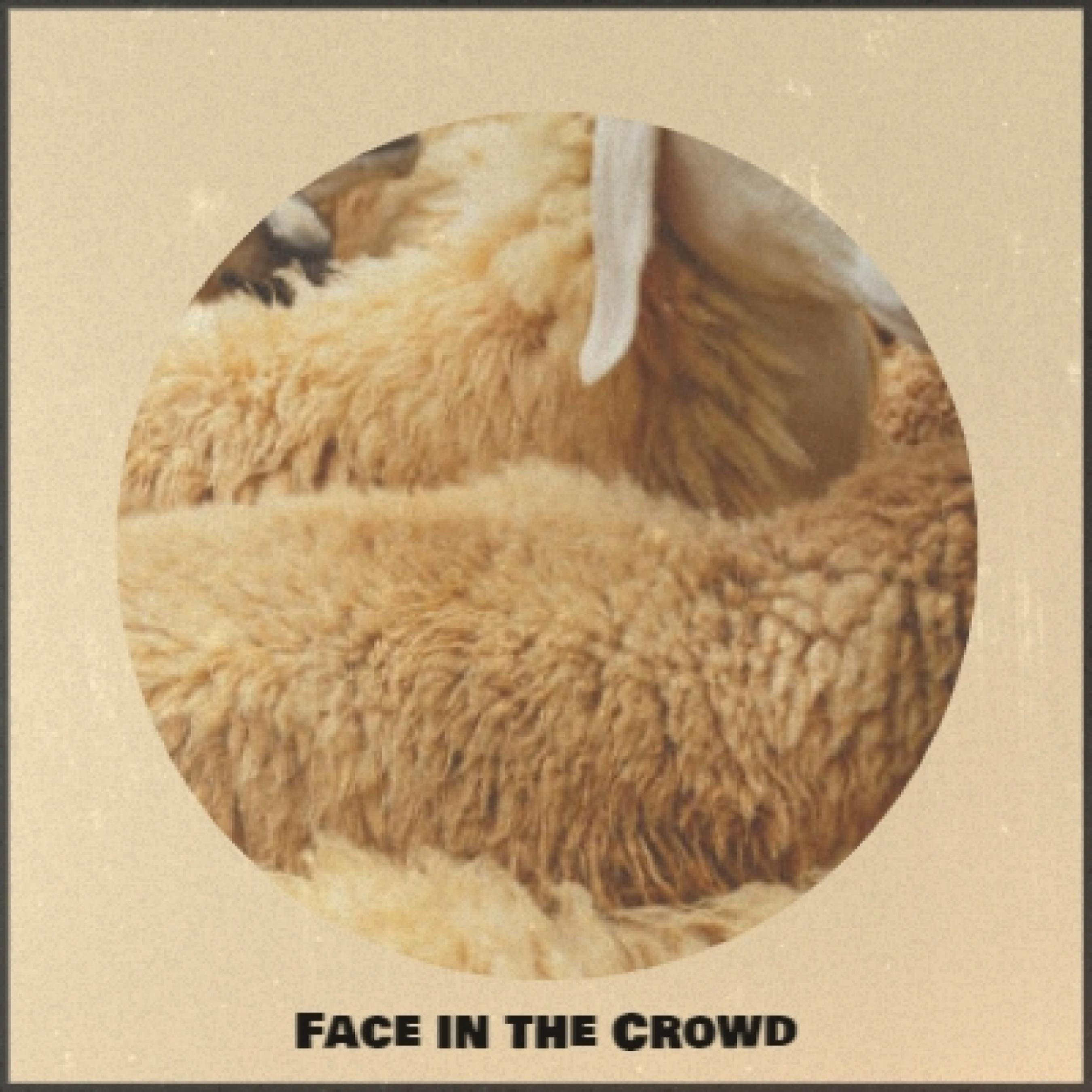 jim murphy、The Accents - Plumb Crazy