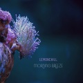 Lemonchill - Morning Breeze