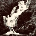 Phantom - hidden in the woods
