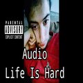 Audio - Life Is Hard
