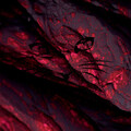 Roza - Lost Tranquillity
