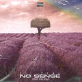 Lil Zeal、Vxlious - No Sense (Explicit)