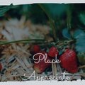 Ryne Syspar - Pluck Appreciate