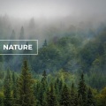Cricket Sounds、Nature Sounds Collabo、Zen Master - Nature Sounds