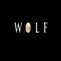 Junk、Sinclair - WOLF (feat. Junk)(Explicit)