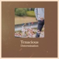 Taylor Brook - Ambient Euphoria