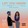 Max Urban、Nicky B Fly - Let You Know (Explicit)