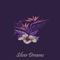 Silver Dreams (Instrumental)