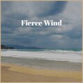 Du Lac - Fierce Wind