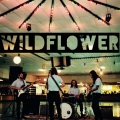 Wildflower