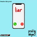 Dynami8 - liar