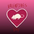 Not - Valentine's Day