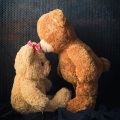 言吾音 - Miss You Tonight