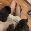 小抖 - Great