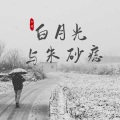 白月光与朱砂痣 (DJ版)