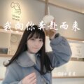 DJ小星星 - 夜店商业电音舞曲 (DJ版)