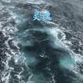 李来顺 - 大鱼 (拇指琴版)