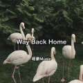 暖豪 - Way Back Home (Remix)