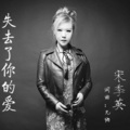 宋季英 - 失去了你的爱
