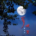 蔡孟妍、芯晴音乐 - 寄明月