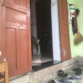 Nguoi Di Xay Ke Go